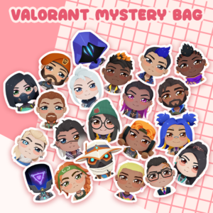 Valorant Mystery Bag